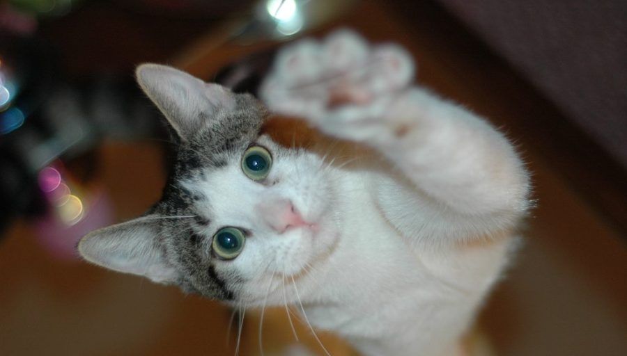 Build Strategic Alliances To Amplify Your Content Reach Build Strategic Alliances To Amplify Your Content Reach