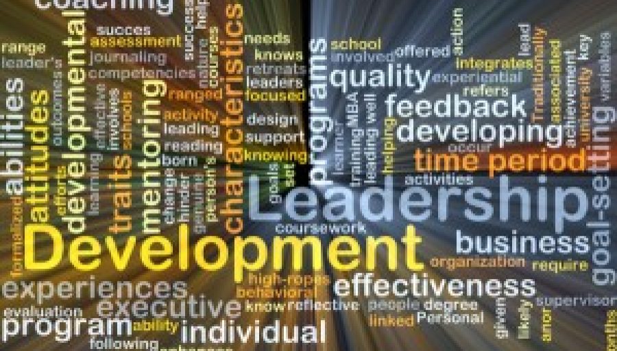 Leadership: What Are The Essential Traits?