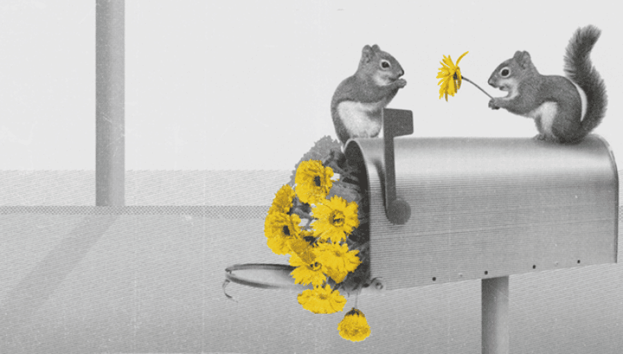 How to Make Customers Look Forward to Your Email How to Make Customers Look Forward to Your Email